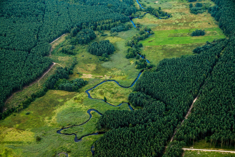 We protect your environment